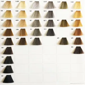 OEM/ODM Professional Salon Use Folds Hair Color Swatch Book for Hair Coloring