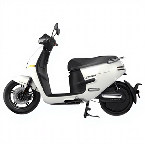 <strong>HORWIN</strong> <strong>EK1</strong> PRO European Standard Brushless Motor Smart Electric Scooter for Adults Motorized Electric Motorcycles - Product Image 1