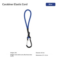 Sangle de tension multifonctionnelle portable pour tente de camping, avec crochet et élastique en latex pour extérieur