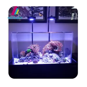 Mesa de centro ovalada personalizada para acuario, acuario acrílico de cristal para pecera