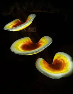 Luz LED con diseño de Ganoderma para decoración de jardines, parques y paisajes, ideal para iluminación nocturna en festividades. - Product Image 1