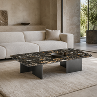 Table basse moderne ZEECI rectangulaire avec plateau en pierre exotique platine et structure en bois durable, table de cocktail pour salon, garantie de 2 ans