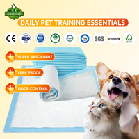 Tampons de pipi pour chien super absorbants pour une protection durable