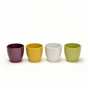 Nuevos Kits de Propagación de Cerámica Esmaltada Blanca, Grandes, Pequeños y Mini, para Colgar en Jardines, Decoración India - Product Image 5