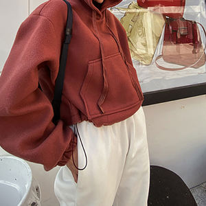 Sudadera con Capucha Personalizada para Mujer, Estilo Jogger, para Primavera, Otoño e Invierno, Top Corto Personalizado, Ropa Urbana de Alta Calidad, Talla Grande - Product Image 4