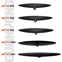 ART V2 879 Ensemble de planche hydroptère professionnelle Feuille d'aile en carbone pour Kitesurfers avancés Sports nautiques complets