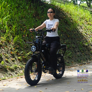 VOMO-<span class=keywords><strong>Vélo</strong></span> <span class=keywords><strong>électrique</strong></span> X80 PRO 250W à double suspension, <span class=keywords><strong>vélo</strong></span> <span class=keywords><strong>électrique</strong></span> à longue portée, <span class=keywords><strong>vélo</strong></span> <span class=keywords><strong>électrique</strong></span> vintage, fatbike - Product Image 2