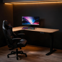 Fabricant Direct – Bureau Électrique Ergonomique à Hauteur Réglable, Couleur Personnalisable, Moteur Silencieux – Fournisseur OEM/ODM