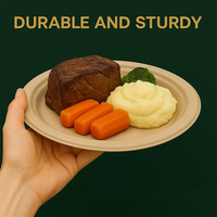 Assiettes jetables écologiques en bagasse de canne à sucre pour collations et desserts, compostables, pour fêtes 2026