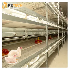 Good Quality Automatic H Type Broiler Chicken Cage System For Sale