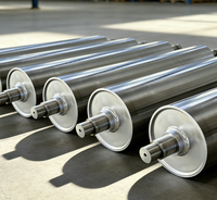 Rouleau industriel robuste en acier inoxydable 316 poli miroir avec roulement à rouleaux et roulement à billes, neuf, directement de l'usine