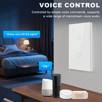 Interrupteur mural intelligent Wi-Fi tactile Premium Matter US avec télécommande, programmation et assistant vocal