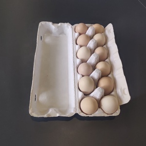 PTPACK Cartons <span class=keywords><strong>d</strong></span>'oeufs en pulpe naturelle 12 oeufs en carton de papier plat compostable vide carton <span class=keywords><strong>d</strong></span>'oeufs résistant aux chocs - Product Image 4