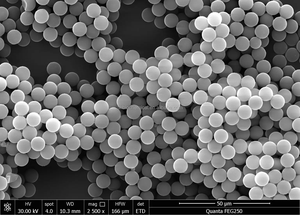 Perlas Magnéticas Recubiertas de Streptavidina (Partículas de PS) Alta Velocidad de Respuesta Magnética - Product Image 5