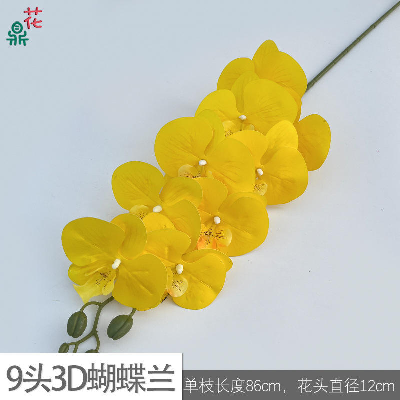 9หัว3D Phalaenopsis lfy สีเหลือง