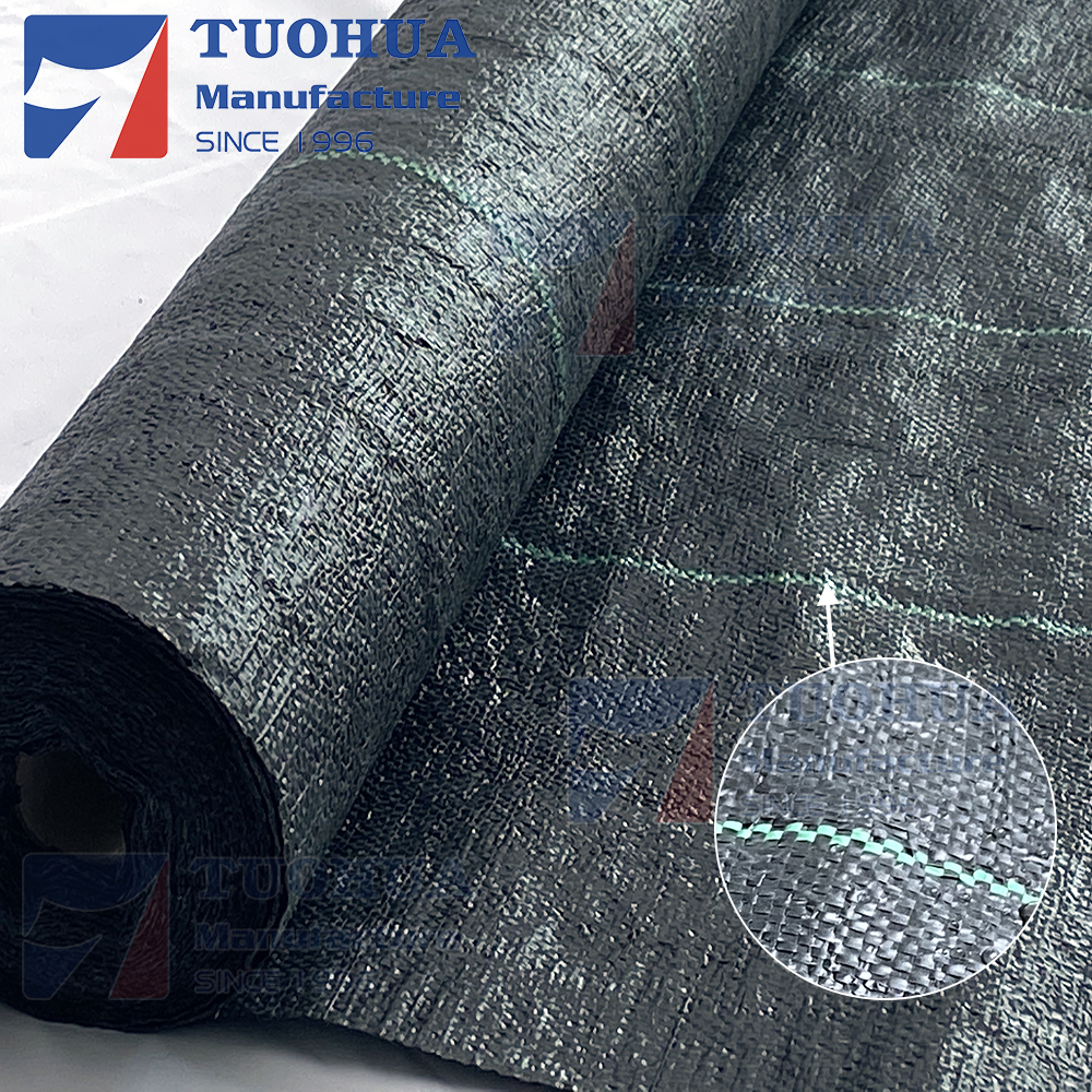 Negro con línea verde