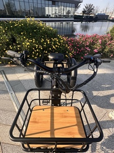 Trikes électriques professionnels pour adultes avec moteur à batterie au lithium centrale 48v <span class=keywords><strong>Shimano</strong></span> <span class=keywords><strong>Nexus</strong></span> <span class=keywords><strong>7</strong></span> vitesses - Product Image 2