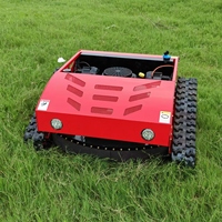 Mini tondeuse à gazon de jardin à essence de China Rail nouvelle télécommande prix compétitif de machine agricole moteur conception de virage zéro pour
