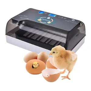자동 디지털 12 병아리 달걀 부화장 기계 거위 닭 메추라기를위한 Brooder 계란 인큐베이터 계란 인큐베이터 부화기
