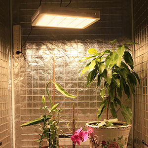 Lampe de culture LED carrée personnalisable 300W pour plantes, vente directe usine - Product Image 5