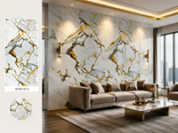 Revêtement mural intérieur en composite bois-plastique, imperméable, insonorisant et ignifuge pour application en salle de sport