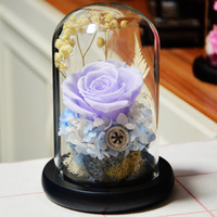 Rose éternelle, fleur séchée sous cloche en verre, coffret cadeau, cadeau créatif pour couple, Saint-Valentin, fête des mères