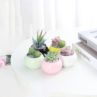 Pot de fleur moderne en céramique émaillée Petit Cactus charnu Design respirant Boule lumineuse Maison Jardin Décoration de bureau Plantes en pot