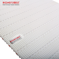 Hongsbelt HS-100AN Plastic Modulaire Band voor Transportband