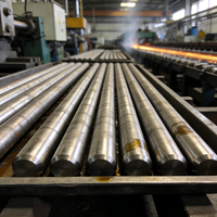 Barre plate en alliage de nickel Hastelloy B-2 UNS N10665 2.4617, surface brillante, pour applications chimiques, pétrolières et gazières, fabricant