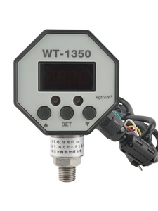 Manómetro digital octogonal de PP para Europa, con carcasa y conector WT1350, marca <span class=keywords><strong>SNT</strong></span>, 1 año de garantía - Product Image 5