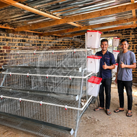 Nouvelle cage à poulets en A à 3-4 niveaux, système de cages en batterie automatique pour volailles, en fil d'acier galvanisé, 96/128 oiseaux