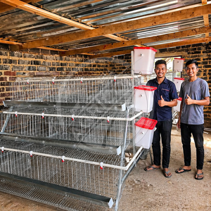 Jaula para gallinas ponedoras tipo A de 3 y 4 niveles, sistema de jaulas automáticas tipo batería para aves de corral con alambre de acero galvanizado, para 96 o 128 aves - Product Image 3