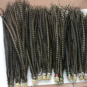 Larghezza 10-110 cm piuma di coda di fagiano di pollo selvatico femminile naturale per opera di scena che esegue accessori per capelli artigianali 8-12 pollici