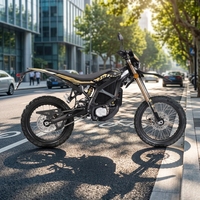 Moto électrique Sur Ron Ultra Bee 24,5 kW 74 V 60 Ah 95 km/h Haute Vitesse Longue Portée Tout-Terrain Ultra Bee 2026 E-moto Motos