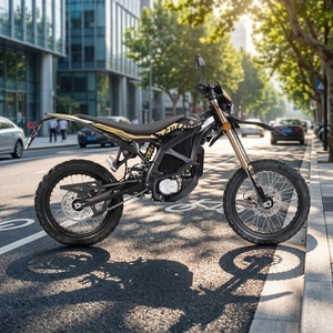 <span class=keywords><strong>Moto</strong></span> électrique Sur Ron Ultra Bee 24,5 kW 74 V 60 Ah 95 km/h Haute Vitesse Longue Portée Tout-Terrain Ultra Bee 2026 E-<span class=keywords><strong>moto</strong></span> Motos - Product Image 3