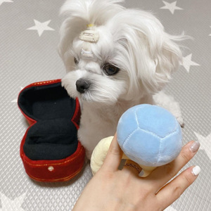 Cute <b>Plush</b> Ring Dog Chew Toy Interactive Pet Toy for Small Dogs Indoor Use Cartoon Style Blue and Yellow Color - Product Image 1