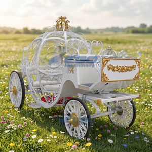 Carruaje de Cenicienta con Diseño de Calabaza, Último Modelo, Elegante, para Bodas, Color Personalizado, Estructura de Acero con Certificación CE, Gran Venta - Product Image 1