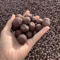 Leca Galets LECA Balls Argile expansée pour plantes de jardin d'intérieur Minéraux et produits non métalliques
