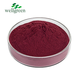 ISO Certified Sorbus Domestica <strong>Extract</strong> Anthocyanins 25% Aronia Chokeberry <strong>Extract</strong> - Product Image 3