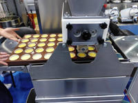 400/600/800 Muffin Cake /Custard Cake Machine à vendre Chine Fabricant