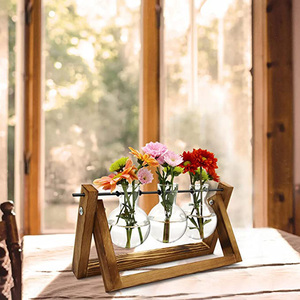Wholesale Plant Terrarium With 3 Bulb Vase Wooden <b>Stand</b> Desktop Propagation Stations for Hydroponic Plants Home Garden Decor - Product Image 2