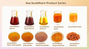 Pasokan langsung pabrik bubuk ekstrak Berry <span class=keywords><strong>Seabuckthorn</strong></span> tingkat makanan minyak biji Buckthorn laut organik di kaleng untuk pembuatan kapsul - Product Image 6