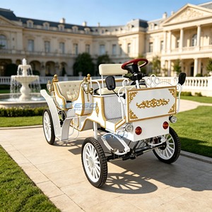 Low-priced selling two rows of sightseeing carriages, high-quality European Princess Cinderella electric carriage - Product Image 2