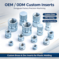 Fournisseur direct d'usine : inserts moulés sur mesure usinés par CNC, écrous en fer, écrous en laiton et autres écrous en divers matériaux, fabriqués en Chine