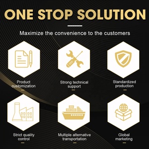 Régulateur de pression de soudage/coupe GPL italien européen Réducteur de gaz GPL entièrement en laiton avec raccord d'entrée W21.8 - Product Image 5