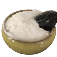Bicarbonate de sodium de qualité industrielle NaHCO3 en sacs de 25 kg pour le contrôle du pH des eaux usées