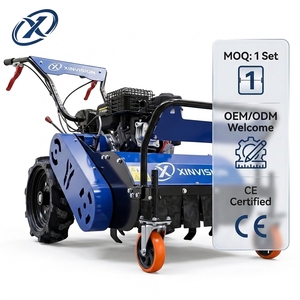 Desbrozadora <span class=keywords><strong>de</strong></span> gasolina 177F <span class=keywords><strong>de</strong></span> 9HP con ancho <span class=keywords><strong>de</strong></span> corte <span class=keywords><strong>de</strong></span> 60cm, máquina autopropulsada para mantenimiento agrícola multipropósito y limpieza <span class=keywords><strong>de</strong></span> viñedos - Product Image 1