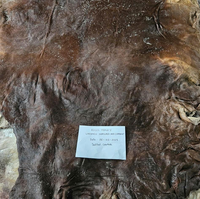 Kulit Sapi dan Kulit Kerbau Asli Berlapis Ganda, Berbumbu Garam, Berat Tinggi, Pilihan Terbaik untuk Sabuk Kulit Mewah, Furnitur, Tas Tangan, Sofa