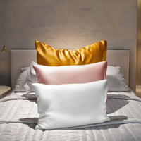 Vente en gros 6A 100% taie d'oreiller en pure soie 22 Momme motif solide avec fermeture éclair boîte personnalisée pour la maison hôtel hôpital utilisation