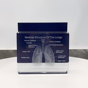 Producto al por mayor en Stock K9 Cristal Tallado 3D pulmones modelo exclusivo bloque de cristal hogar cardiología regalo para la decoración de la oficina del médico - Product Image 4